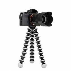 ������ ������ TRIPOD Z-03 � ������ ��� ���� � ����� ������